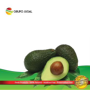 Catalog Guacamole
